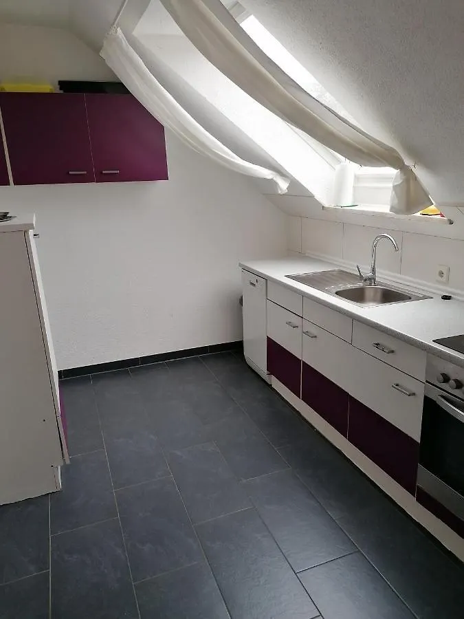 Ferienwohnung Mannes Lauingen Apartment
